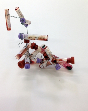 Untitled Dimensions Variable Vacutainers, Blood, Dead Fly, Wire 2013